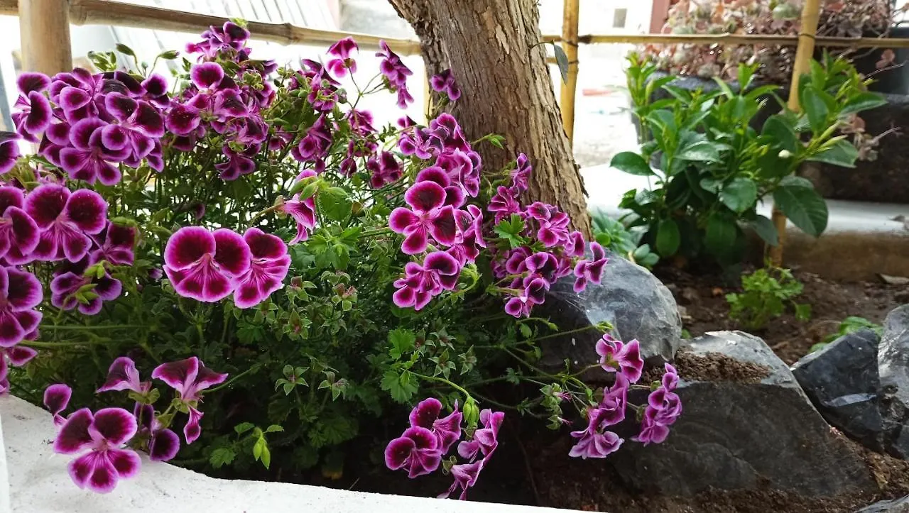 Holiday Home Tarinuzza Липари